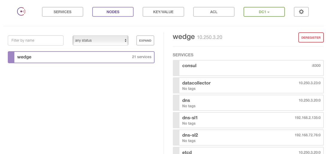 dns-consul